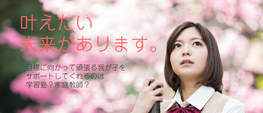 学習塾と家庭教師を徹底比較